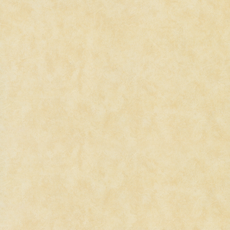 Lantai heterogen yang tahan aus dan ramah lingkungan