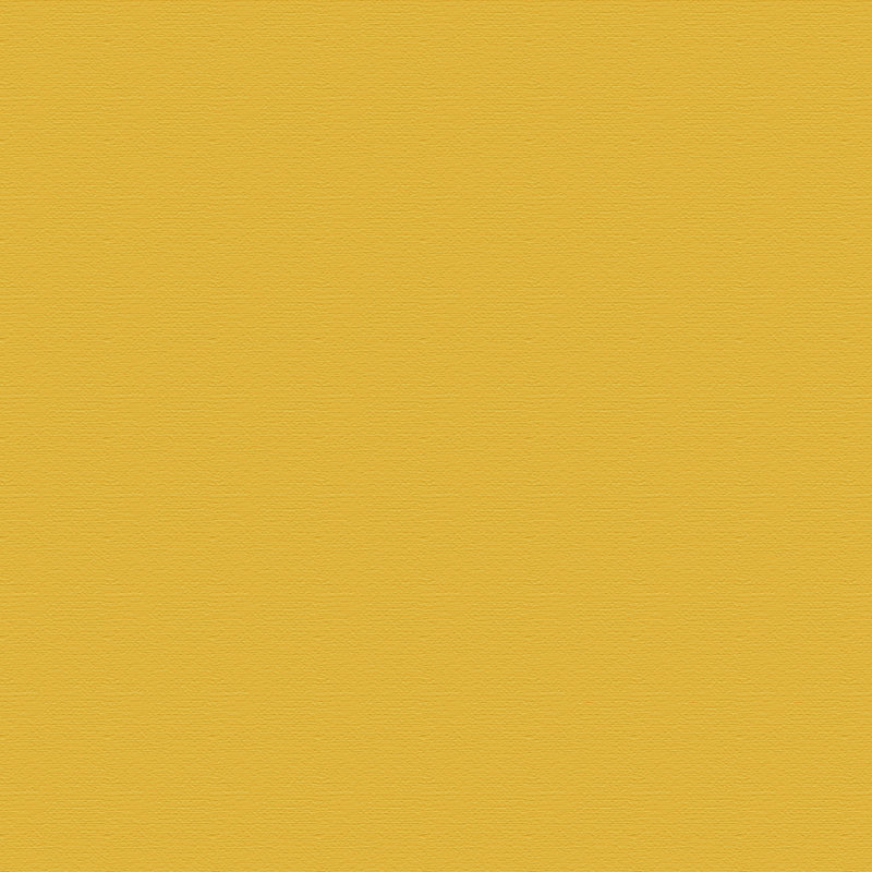 Desain matte dengan beberapa jalur warna pada lantai yang heterogen