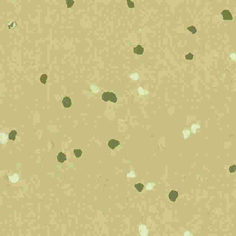 Lantai karet anti gores & elastisitas tinggi