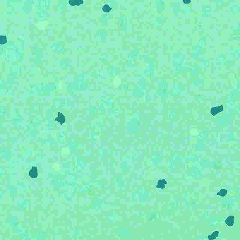 Lantai karet anti gores & elastisitas tinggi