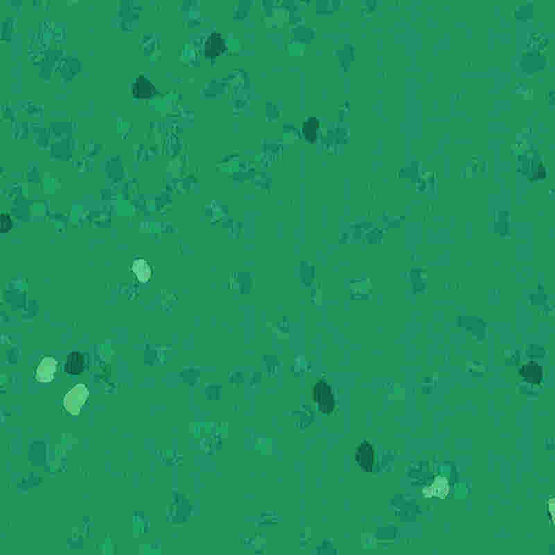 Lantai karet anti gores & elastisitas tinggi