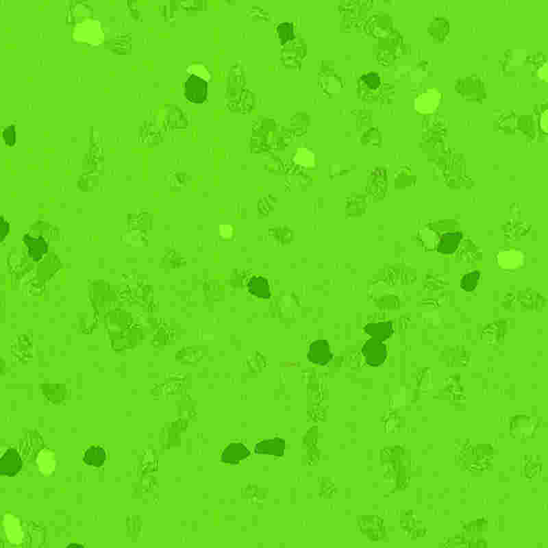 Lantai karet anti gores & elastisitas tinggi