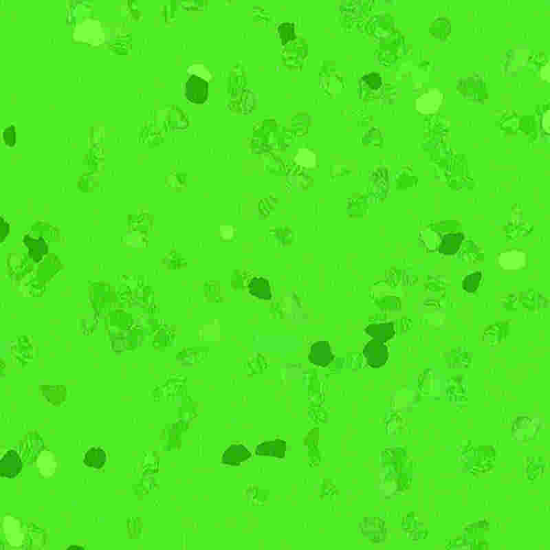 Lantai karet anti gores & elastisitas tinggi