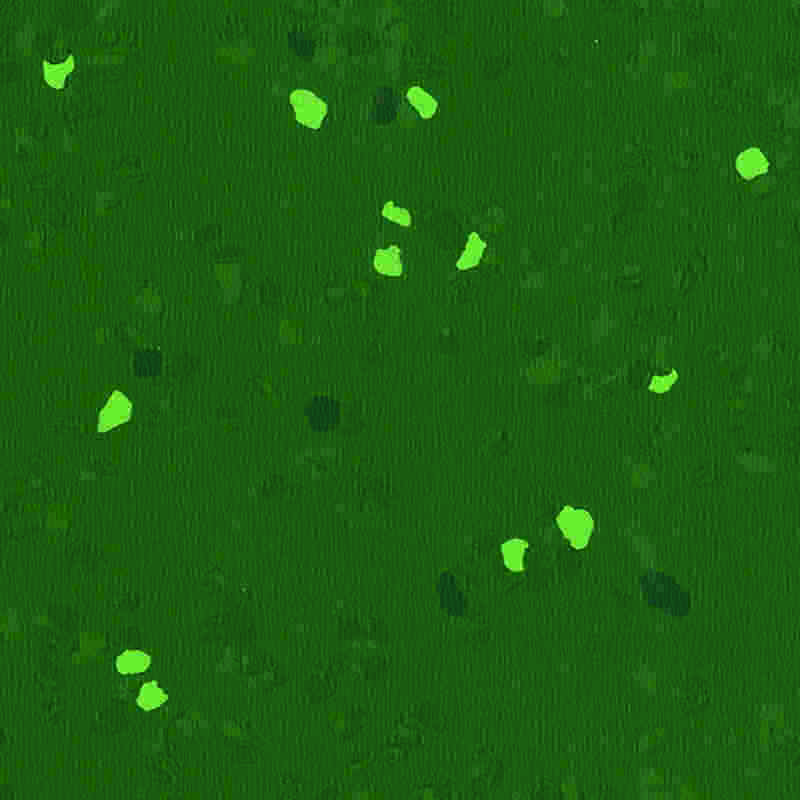 Lantai karet anti gores & elastisitas tinggi