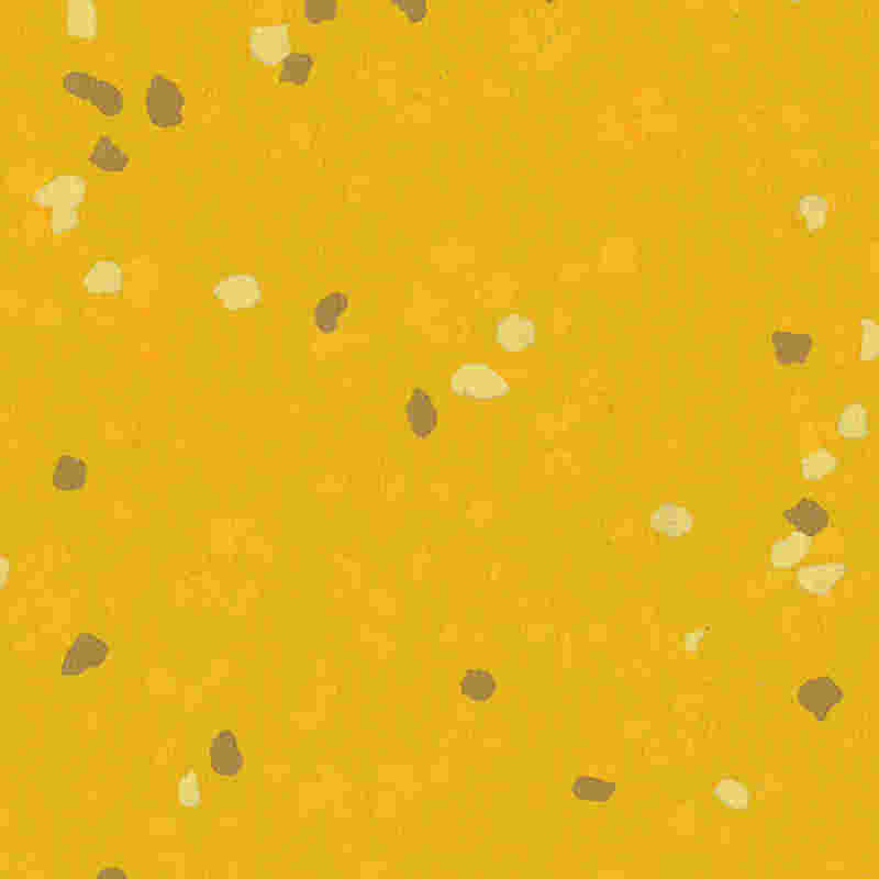 Lantai karet anti gores & elastisitas tinggi