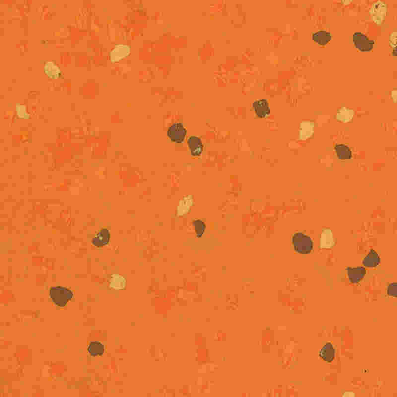 Lantai karet anti gores & elastisitas tinggi