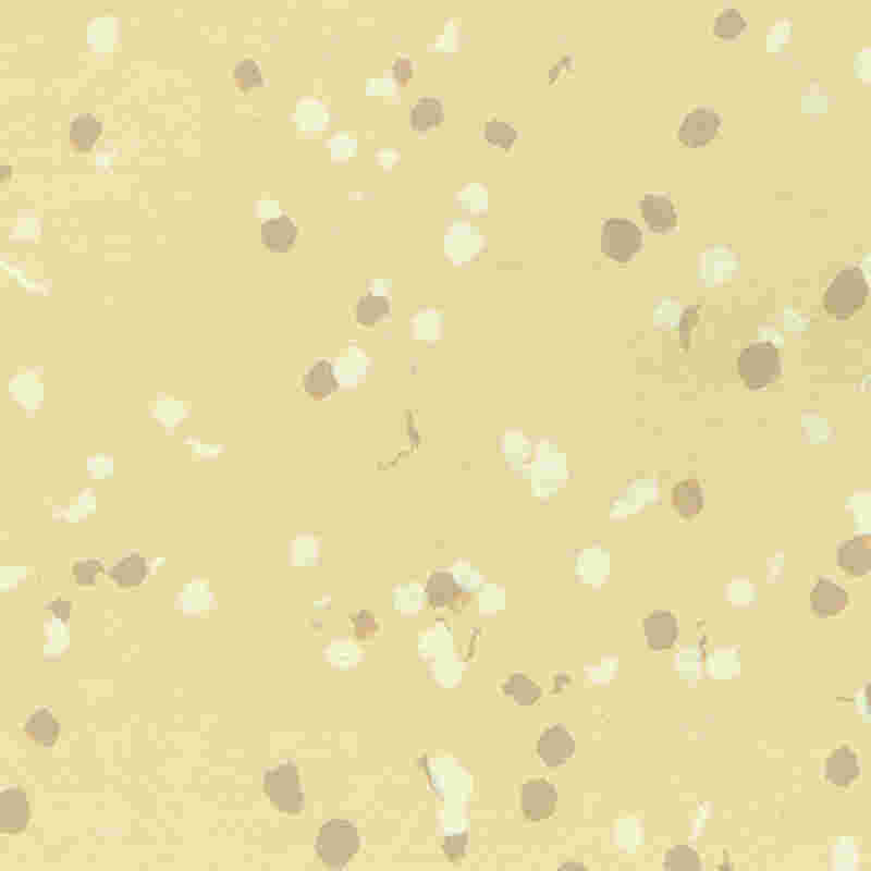 Lantai karet & plastik tahan api dan tahan air