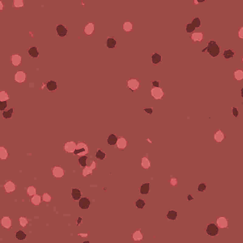 Lantai karet & plastik tahan api dan tahan air