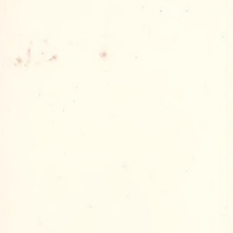 Kemampuan beradaptasi tinggi & lantai karet mulus