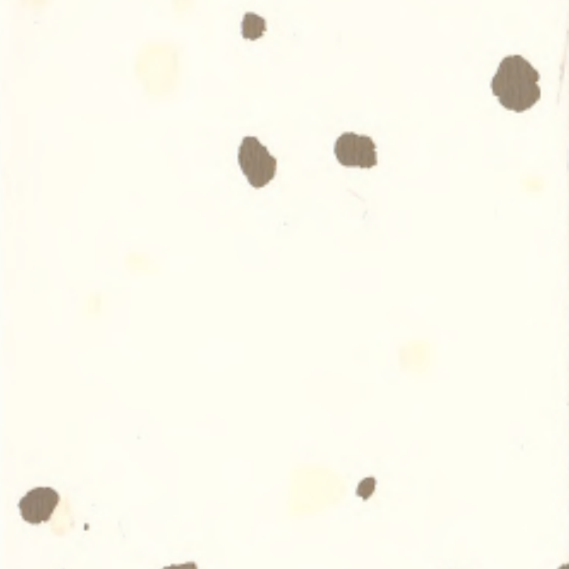 Lantai karet lingkungan