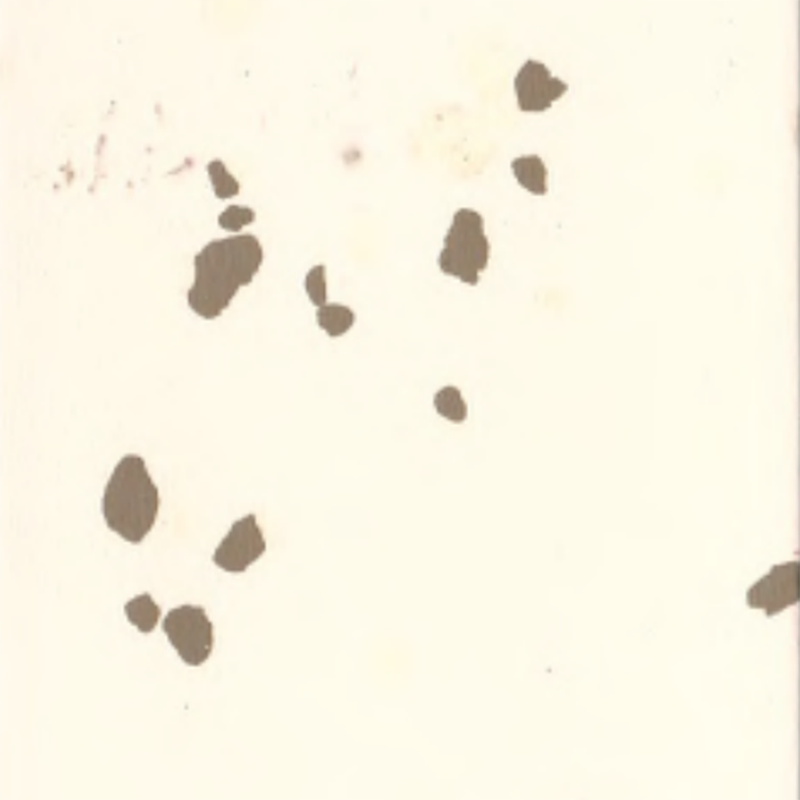 Lantai karet lingkungan